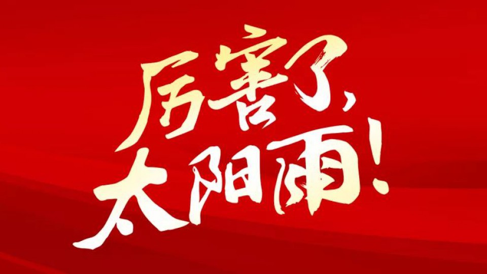 等了6年，它終于從清華大學(xué)回到了太陽雨。