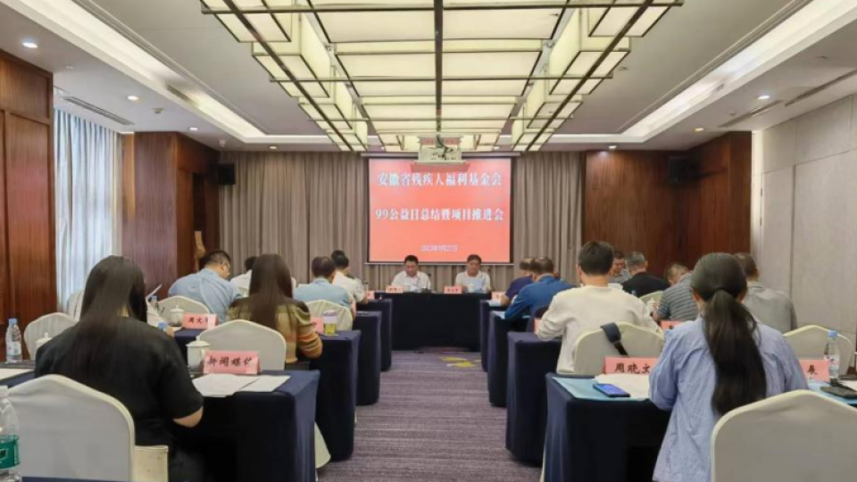 太陽雨應(yīng)邀參加安徽省殘疾人福利基金會項目推進會